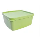 Tupperware | Jeitosinho 400 Ml Freezer - Cor Pistache - Imagem 4