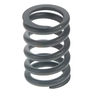 2r0109623b Mola Valvula Grande Mwm 229