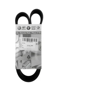 Correia Poli V Do Motor Golf 2020 Original Vw 04e145933al