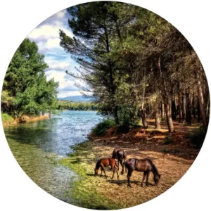 Capa De Estepe Ecosport Aircross Cavalos Lago