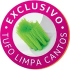 Kit 6 Un Escova Sanitária Vasos Condor Prático Recipiente Branco - Imagem 7