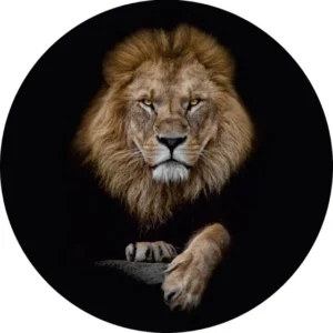 Capa De Estepe Ecosport Aircross Leão 1