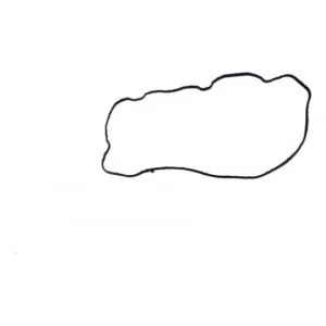 Junta Do Coletor De Admissão Ducato 2.3 Multijet Original