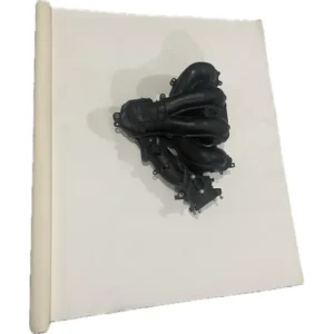 Coletor Admissao Motor Focus/ecosport 2.0 Duratec