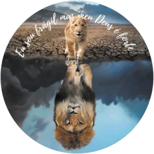 Capa Estepe Protetor Pneu Ecosport Crossfox Leao Religioso