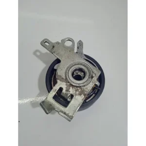 Rolamento Tensor Motor Peugeot 307/406 2.0 16v 03/11 S/n