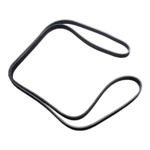 Correia Poly Santana Motor 1999 2000 2001 Contitech 6pk2272