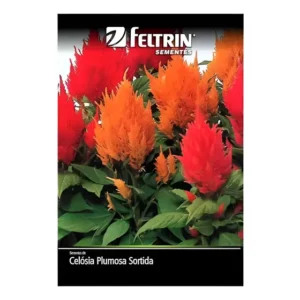 Sementes de Flores Cores Intensas Celósia Plumosa Feltrin 180mg