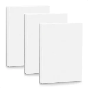 Kit 3 Tela De Pintura 20x30 Desenho Pintura Profissional