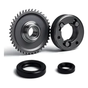 Rolamento Engrenagem Com Placa De Partida E Retentor Fym 250