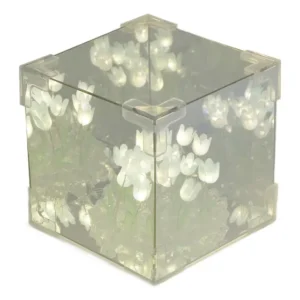 Espelho Led Decorativo Diy Night 2 Em 1 Feito À Mão Para Ami