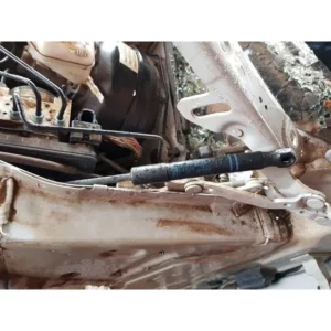 Amortecedor Dobradiça Capo Bmw 120i