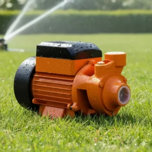 Bomba D'água Periférica 1/2 Hp Monofásica 1 Polegada 60hz