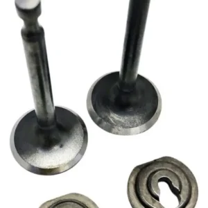 Kit Válvula Admissão E Escape Motor Gasolina 5.5hp 6.5hp 7hp