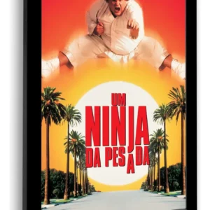 Quadro Decorativo Um Ninja Da Pesada Com Moldura 23x33cm