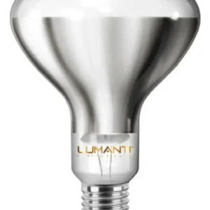 Lâmpada Luz Aquecedora Pinteiro Aviário 250w E27 Luz Branco-quente