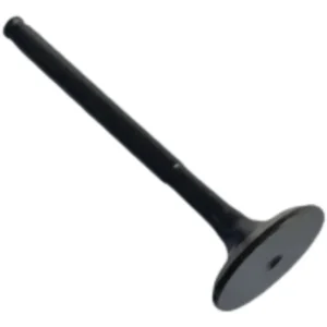 Válvula De Escape Motor Ric Re1199