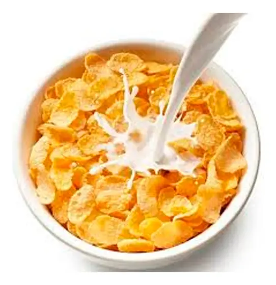 Cereal Fit Saudável Milho Natural Sucrilhos Sem Açúcar