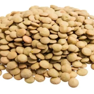 Lentilha 1kg - Hi Natural