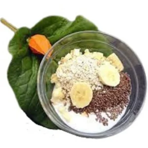 Langfil Iogurte Natural Infinito + Instruções