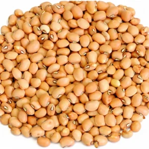Feijão Forte do Grão Feijão em pacote 1 kg