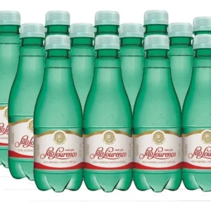 Kit 24un Água Mineral Natural Com Gás São Lourenço 300ml