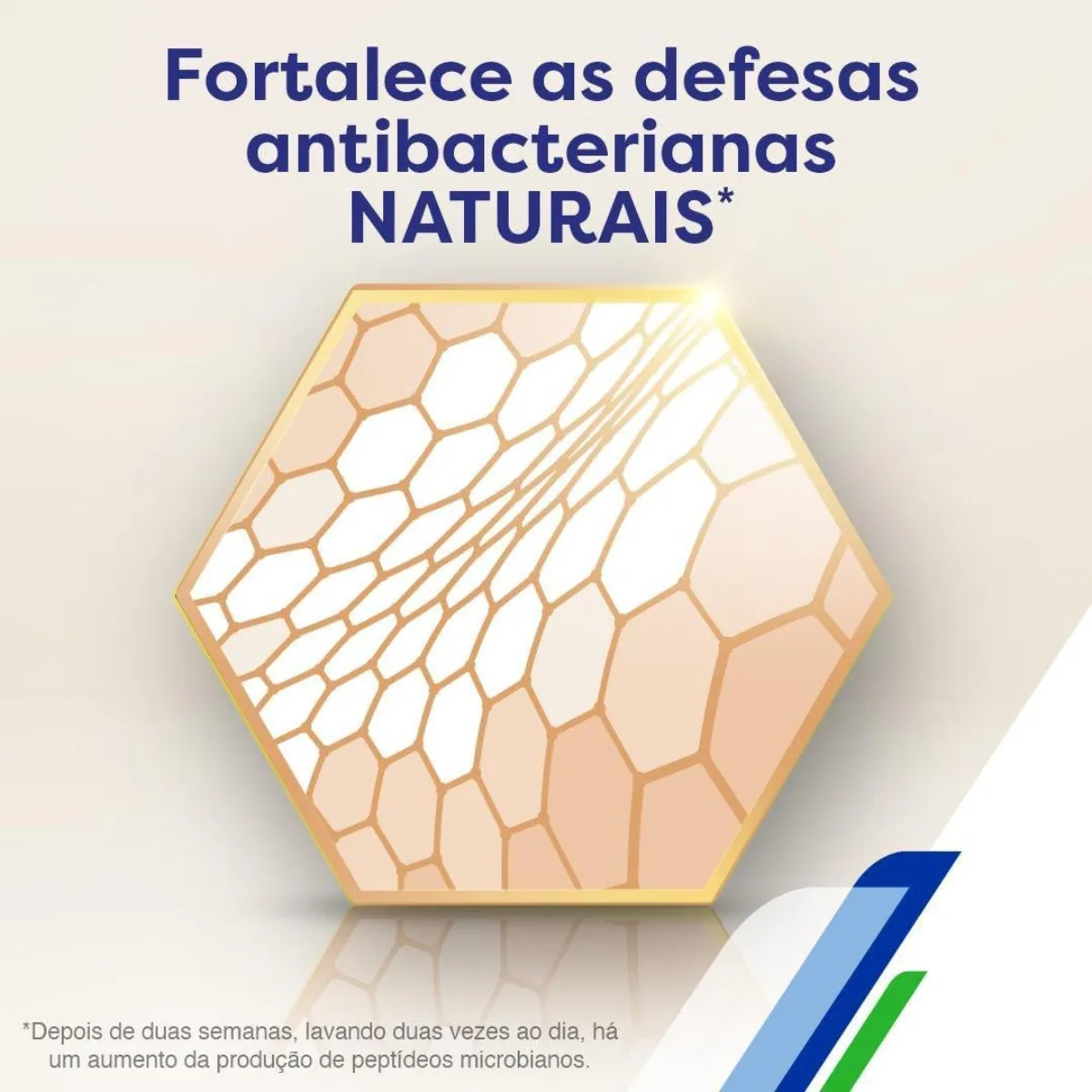 Sabonete Líquido Balance Antibacteriano 1l - Protex - Imagem 2